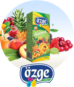 Натурален Сок Мултивитамин Плодов Микс Özge – 200 мл (Кутия)